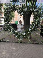 Фотогалерея 160